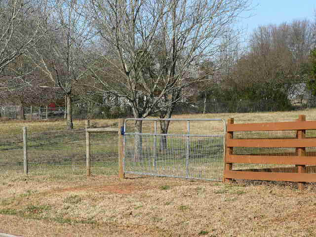 White painted board farm fence running along a horse paddock on a Georgia country property